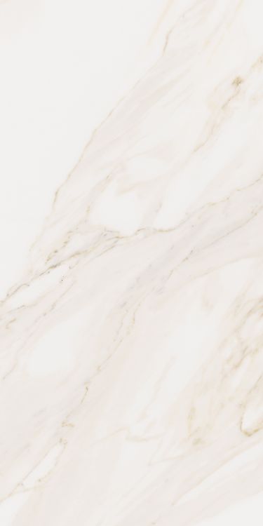 Omnia Calacatta Matte 12 x 24